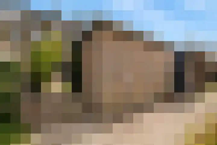 Zeekraal 21 Hellevoetsluis thumbnail 27