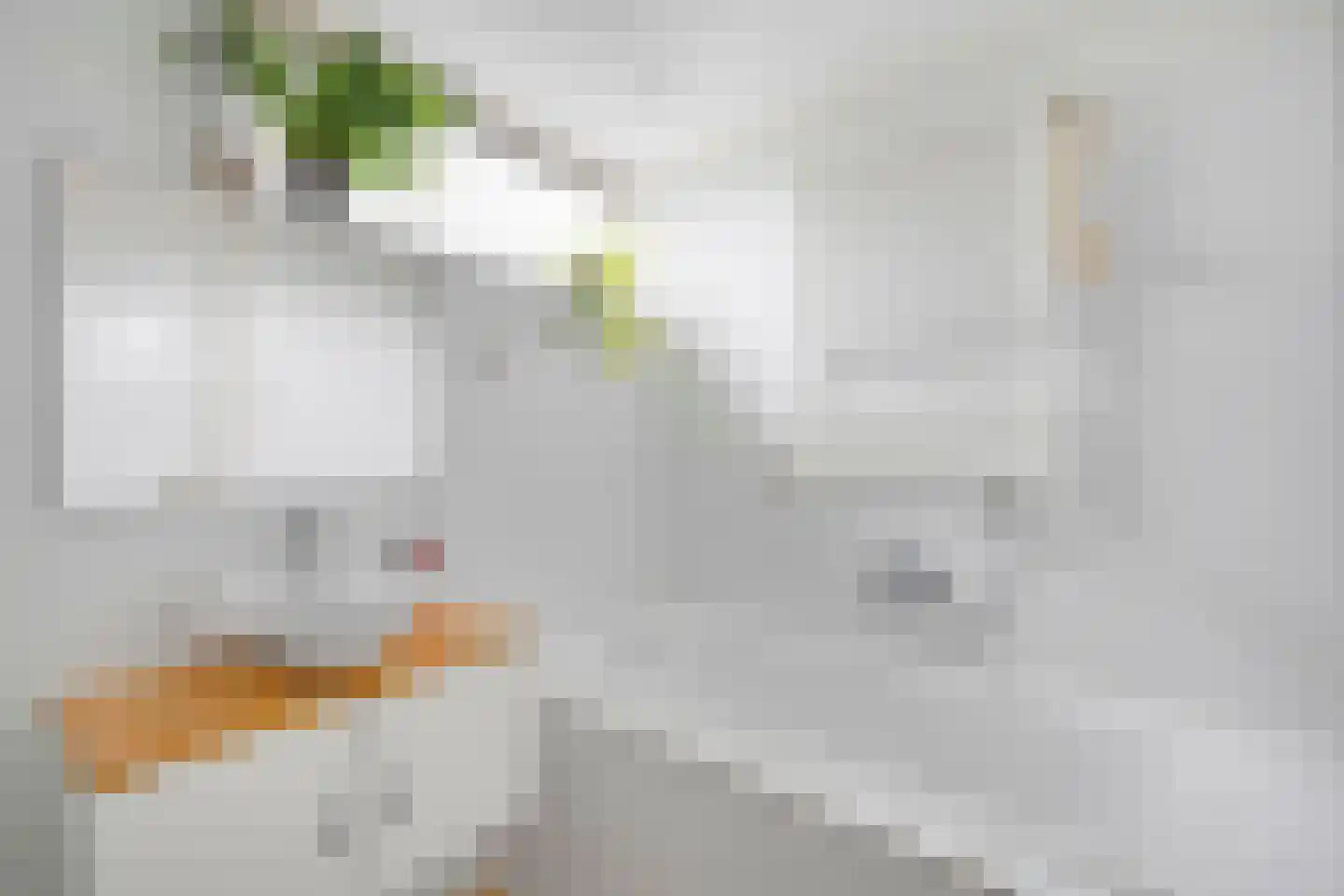 Zeekraal 21 Hellevoetsluis thumbnail 41