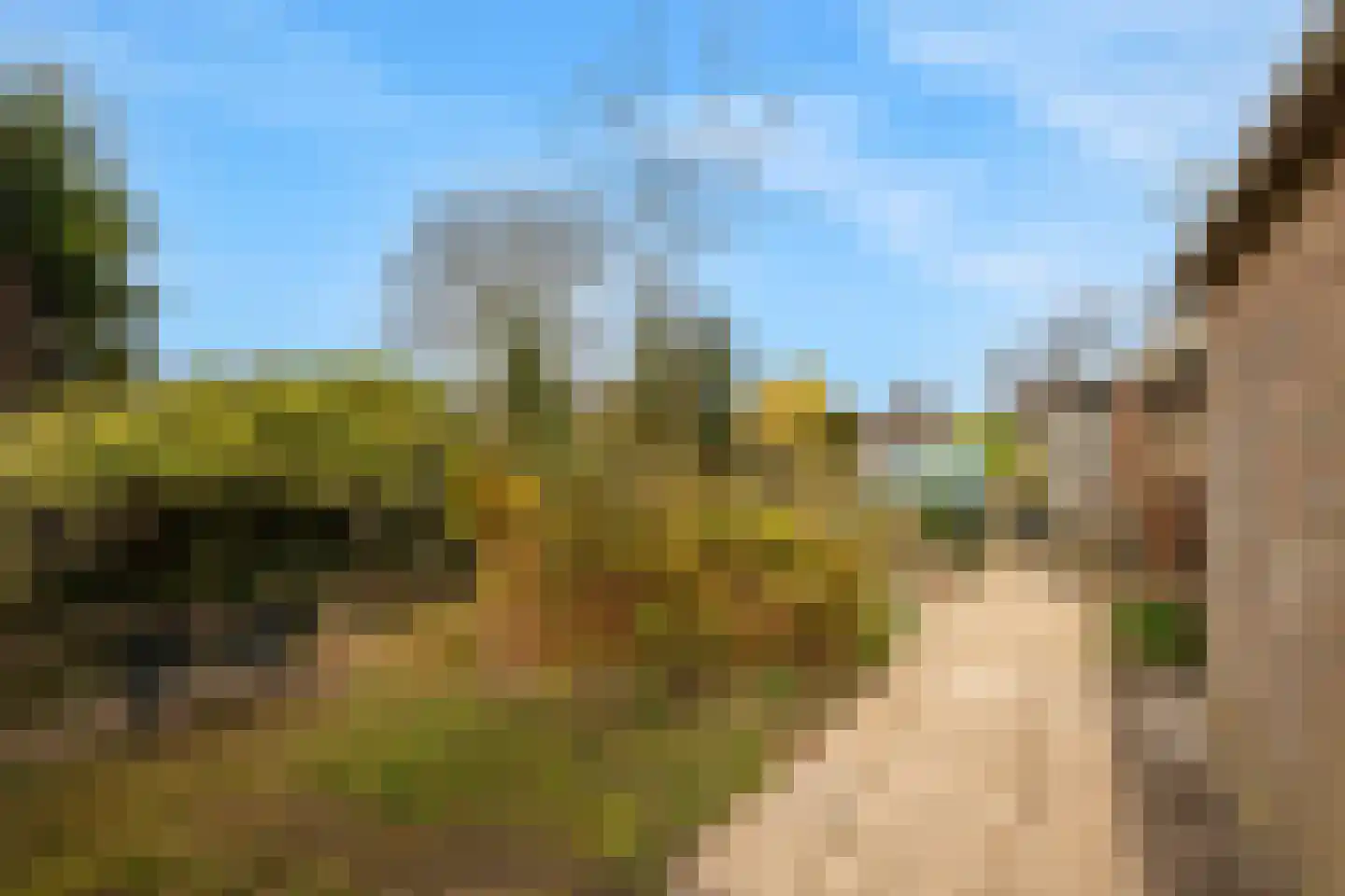 Zeekraal 21 Hellevoetsluis thumbnail 5