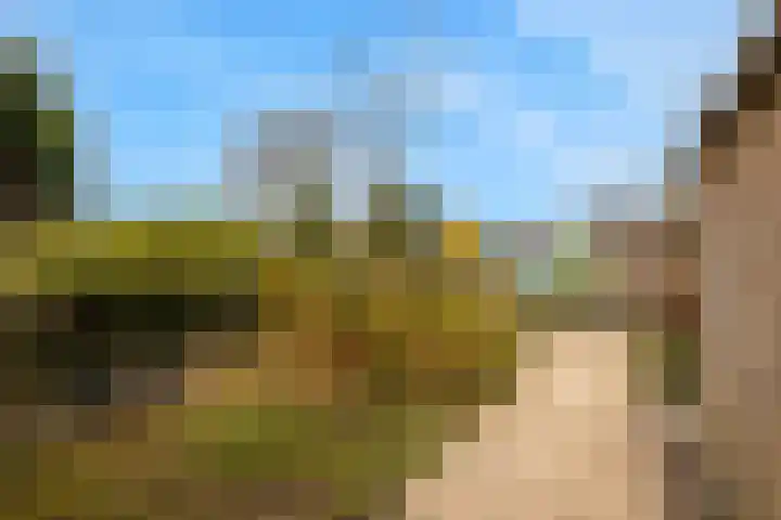 Zeekraal 21 Hellevoetsluis thumbnail 5