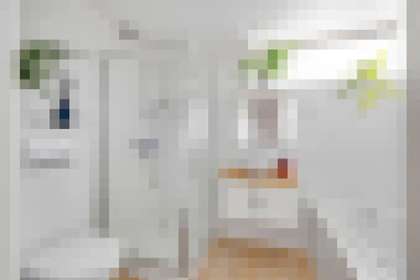 Zeekraal 21 Hellevoetsluis thumbnail 6