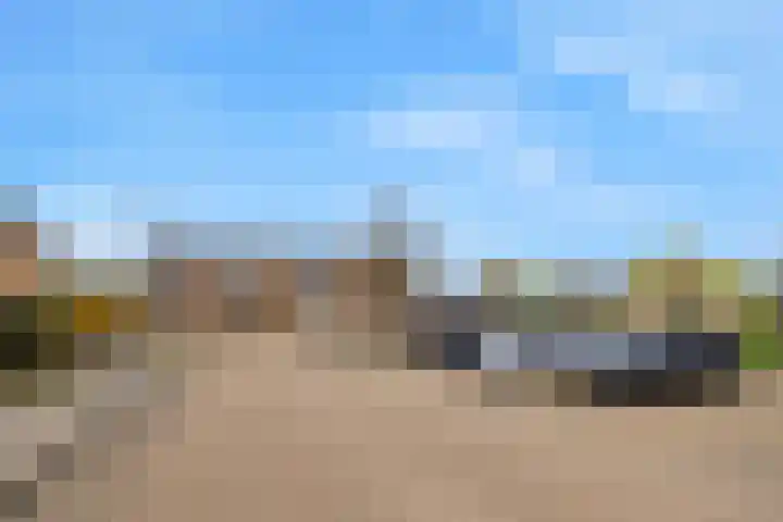 Zeekraal 21 Hellevoetsluis thumbnail 7