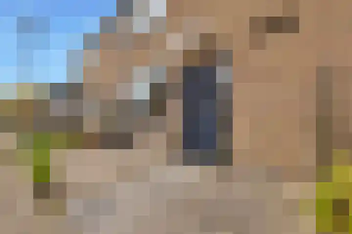 Zeekraal 21 Hellevoetsluis thumbnail 9