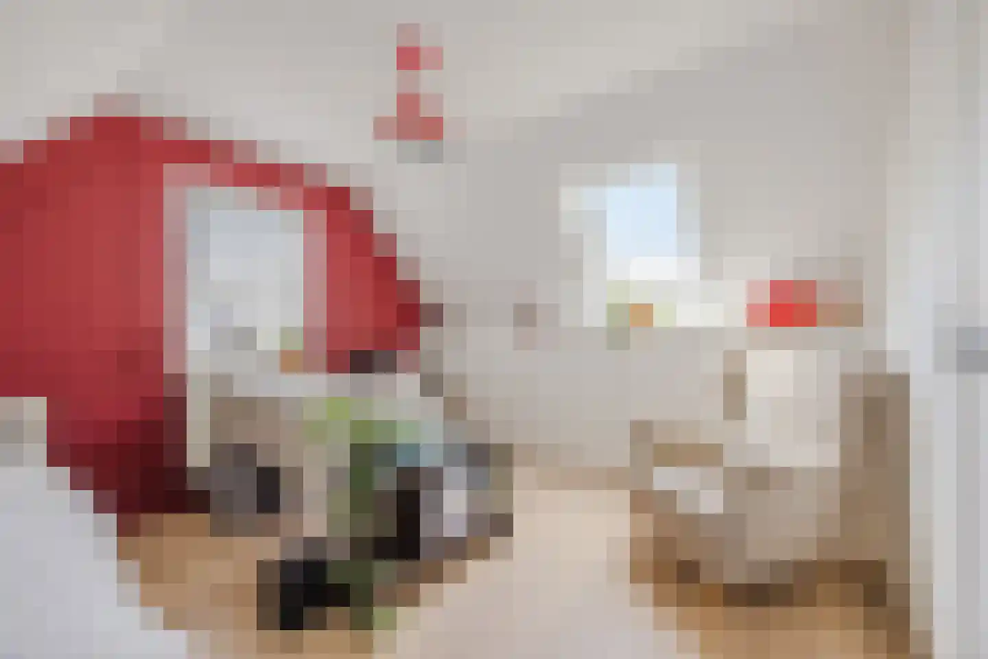 Zeekraal 23 Bergen op Zoom thumbnail 32