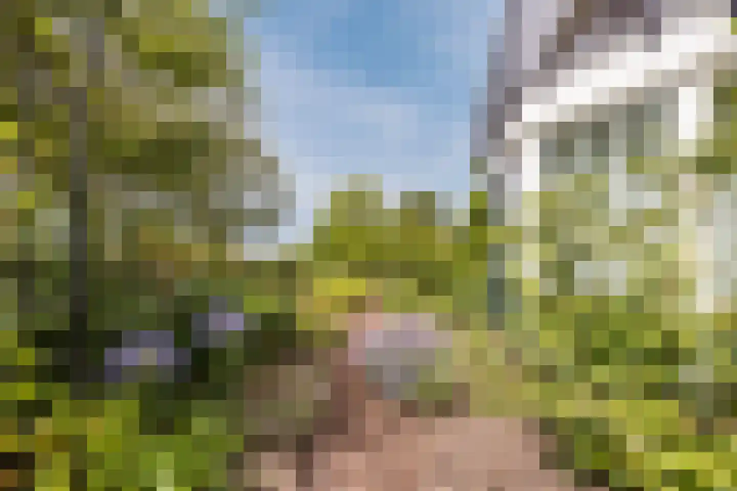 Zeekraal 23 Bergen op Zoom thumbnail 43