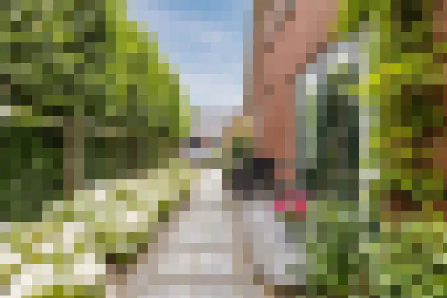 Zeekraal 23 Bergen op Zoom thumbnail 44
