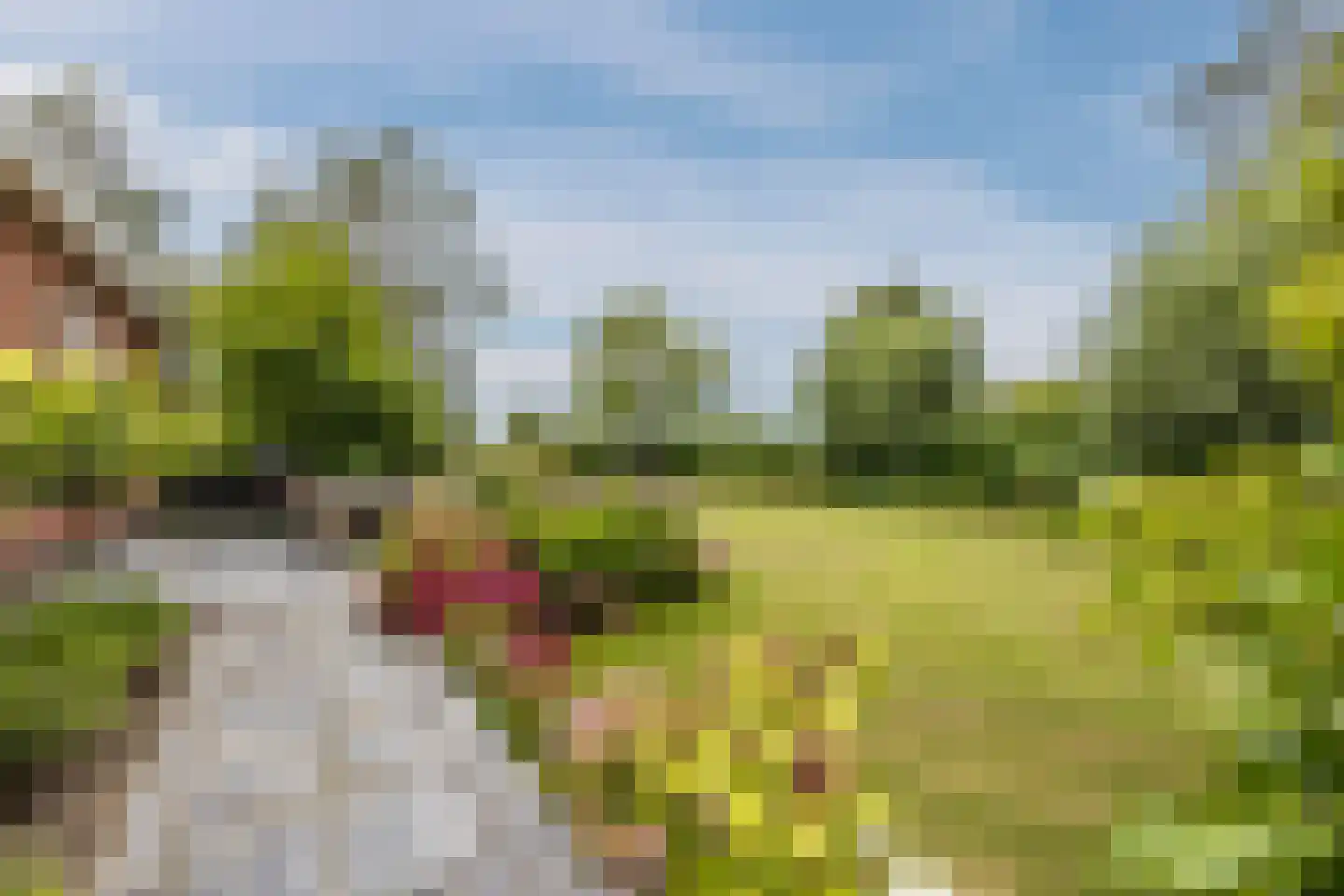 Zeekraal 23 Bergen op Zoom thumbnail 47