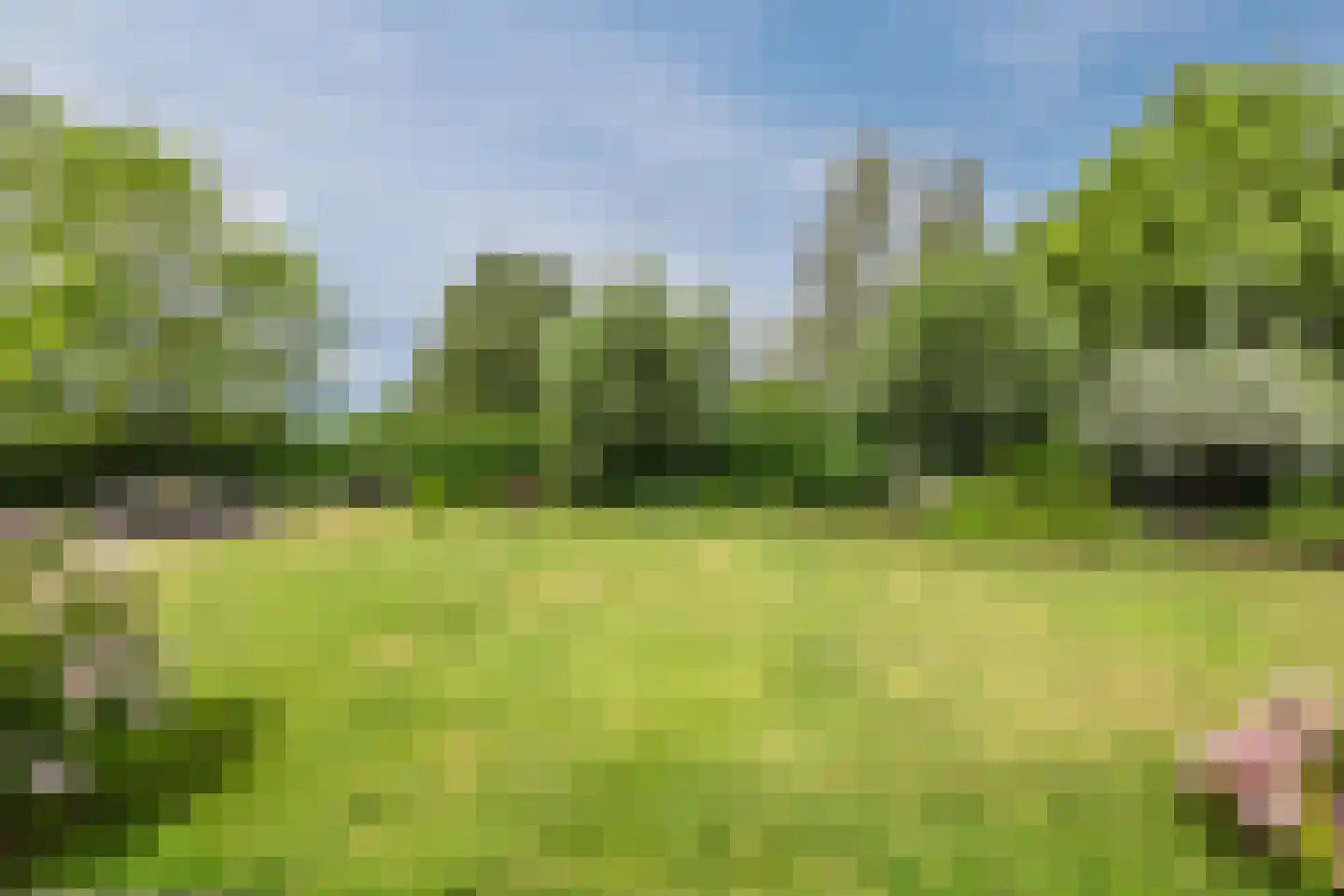 Zeekraal 23 Bergen op Zoom thumbnail 48