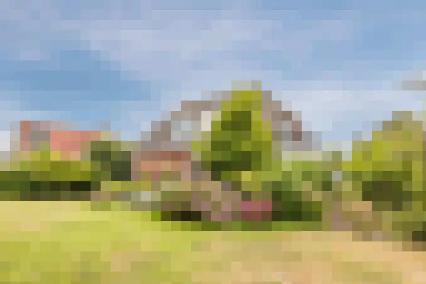 Zeekraal 23 Bergen op Zoom thumbnail 50