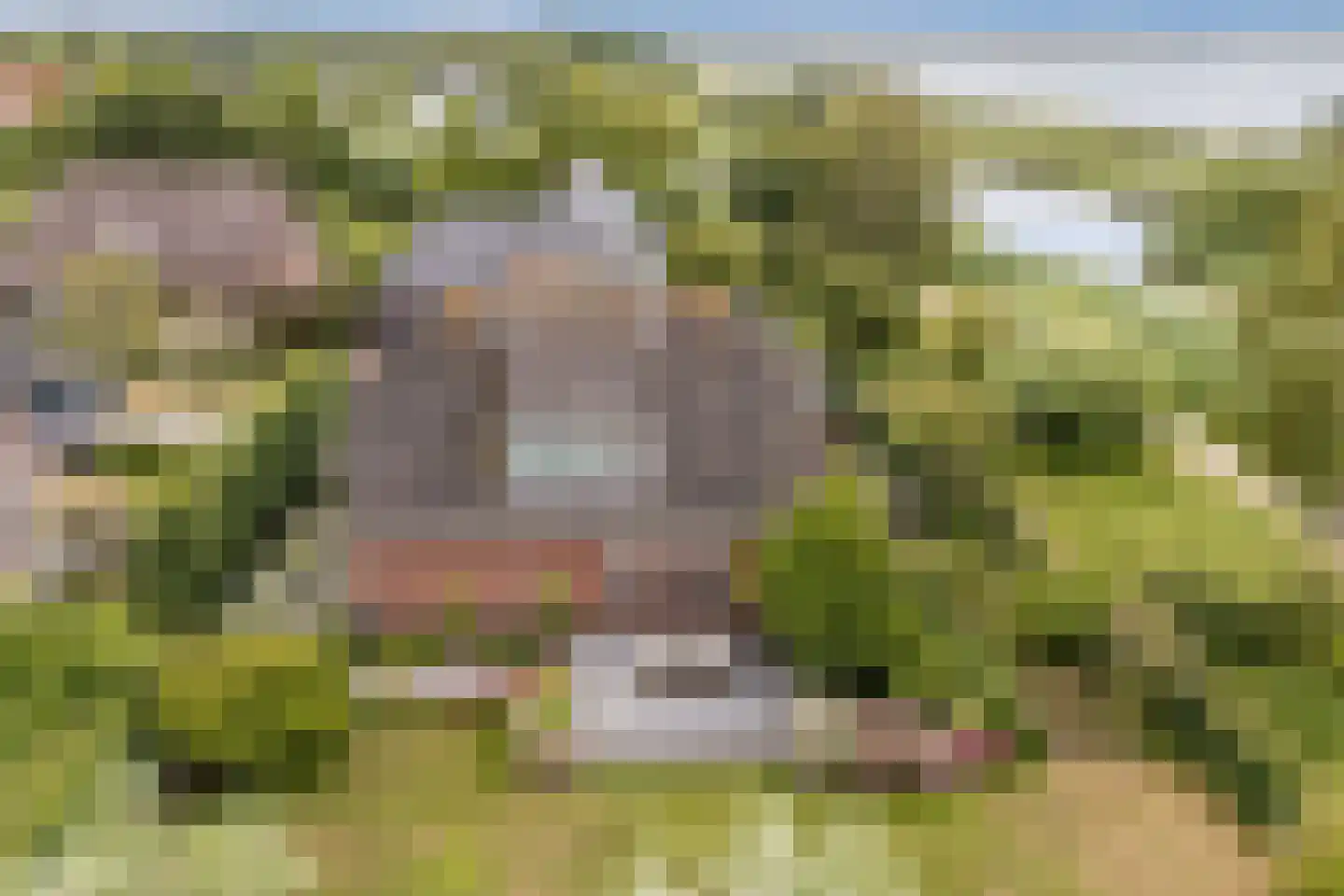 Zeekraal 23 Bergen op Zoom thumbnail 54