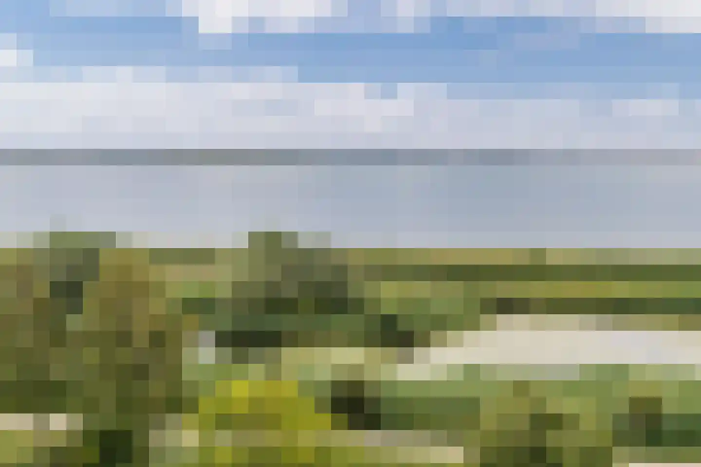 Zeekraal 23 Bergen op Zoom thumbnail 58