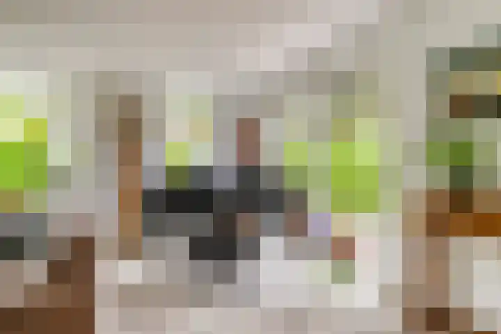 Zeekraal 67 Bergen op Zoom thumbnail 13