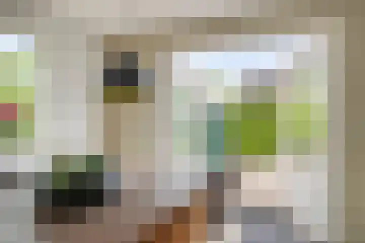 Zeekraal 67 Bergen op Zoom thumbnail 15