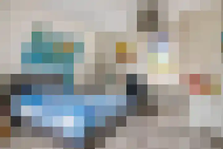 Zeekraal 67 Bergen op Zoom thumbnail 30