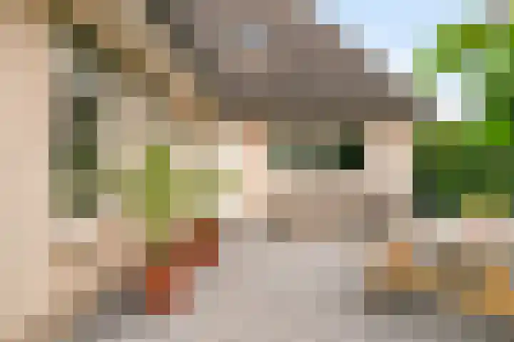 Zeekraal 67 Bergen op Zoom thumbnail 37