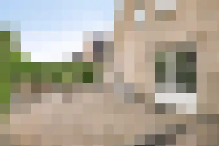 Zeekraal 67 Bergen op Zoom thumbnail 38