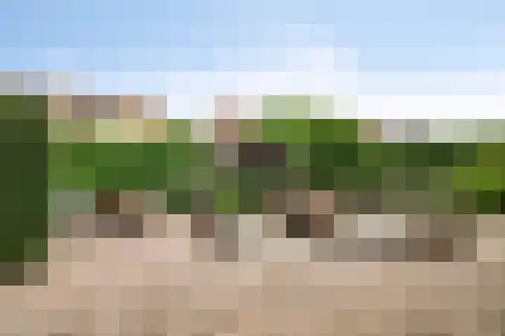 Zeekraal 67 Bergen op Zoom thumbnail 39