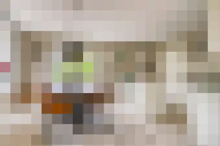Zeekraal 67 Bergen op Zoom thumbnail 4