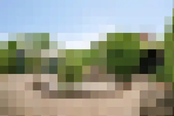 Zeekraal 67 Bergen op Zoom thumbnail 40