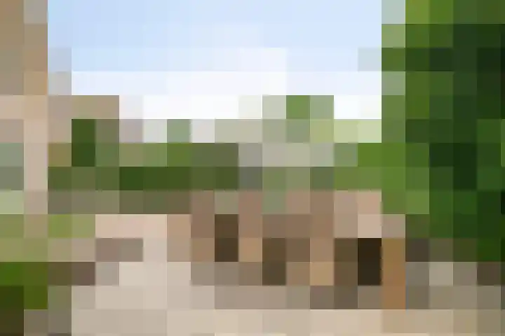 Zeekraal 67 Bergen op Zoom thumbnail 41