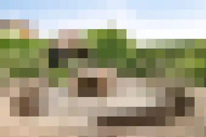 Zeekraal 67 Bergen op Zoom thumbnail 42