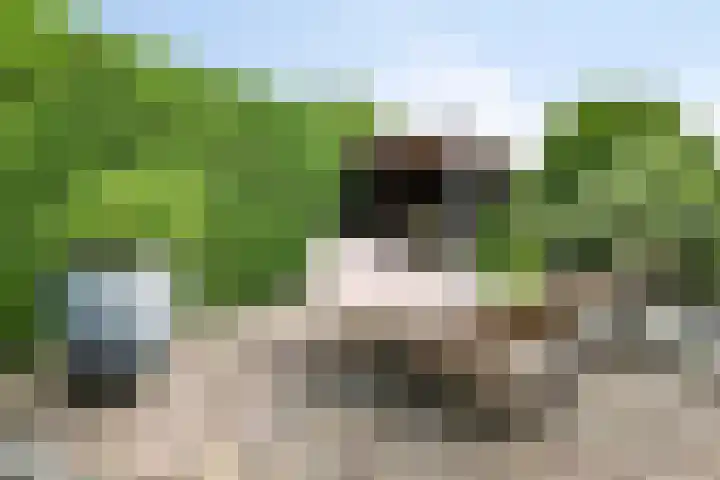 Zeekraal 67 Bergen op Zoom thumbnail 43