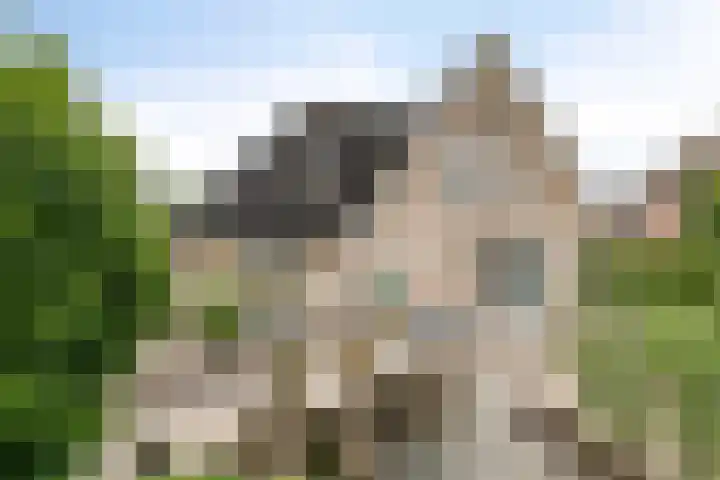 Zeekraal 67 Bergen op Zoom thumbnail 44