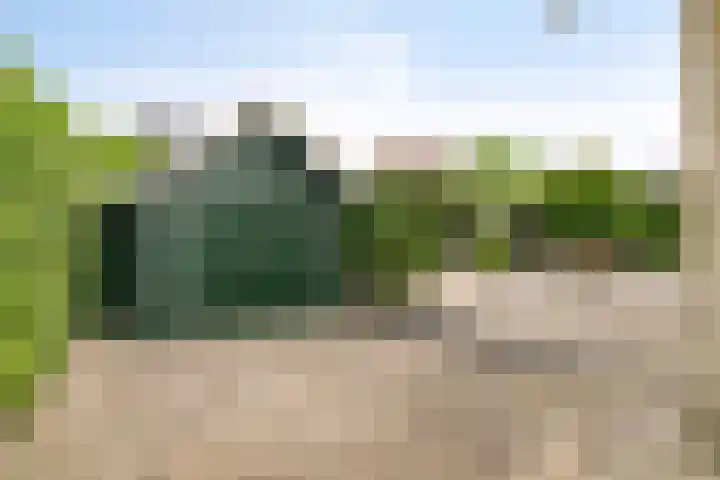 Zeekraal 67 Bergen op Zoom thumbnail 48