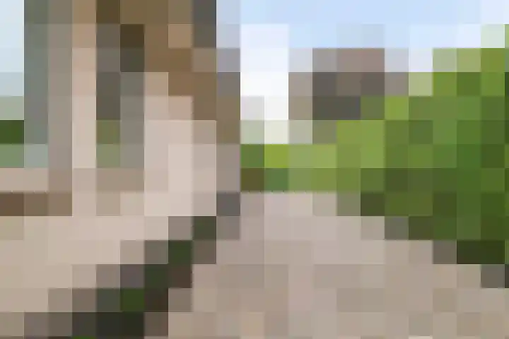 Zeekraal 67 Bergen op Zoom thumbnail 49