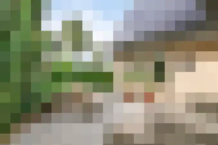 Zeekraal 67 Bergen op Zoom thumbnail 50
