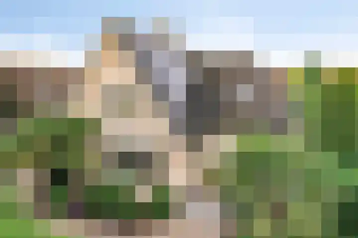Zeekraal 67 Bergen op Zoom thumbnail 53