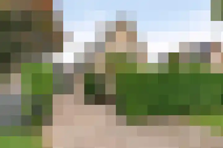 Zeekraal 67 Bergen op Zoom thumbnail 54