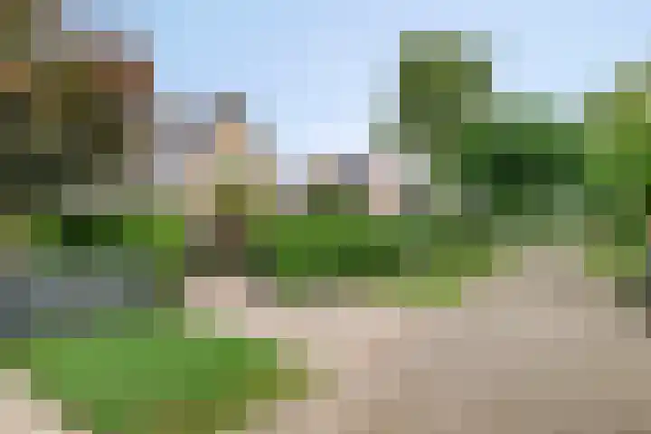 Zeekraal 67 Bergen op Zoom thumbnail 55