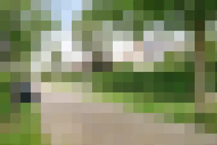 Zeekraal 67 Bergen op Zoom thumbnail 56