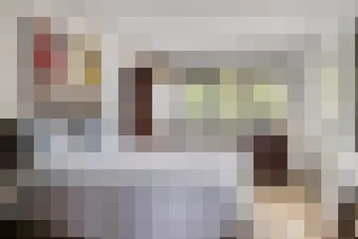Zeekraal 67 Bergen op Zoom thumbnail 6