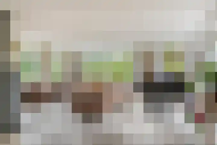 Zeekraal 67 Bergen op Zoom thumbnail 9