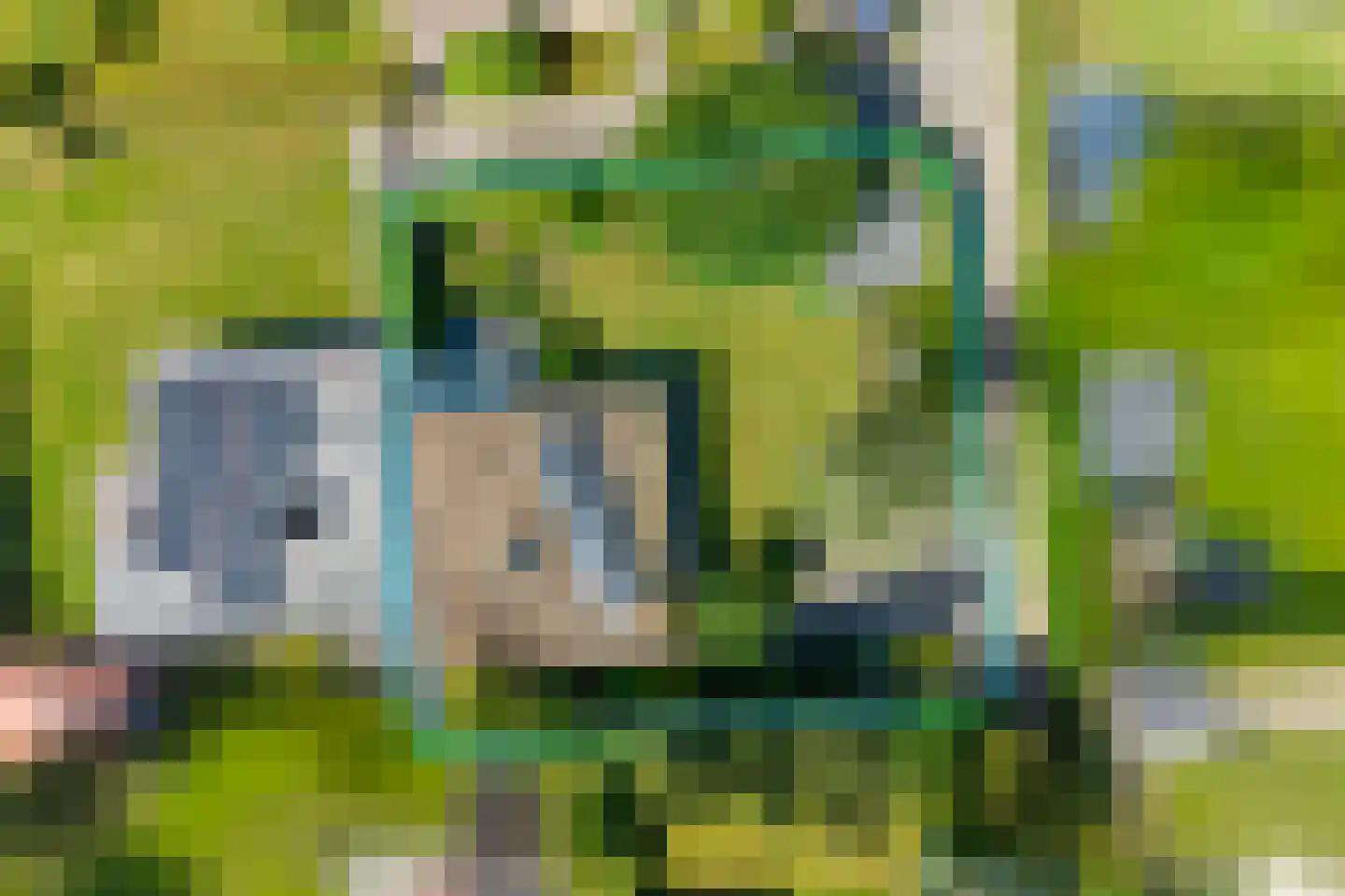 Zeekraalstraat 15 Nieuwvliet thumbnail 10