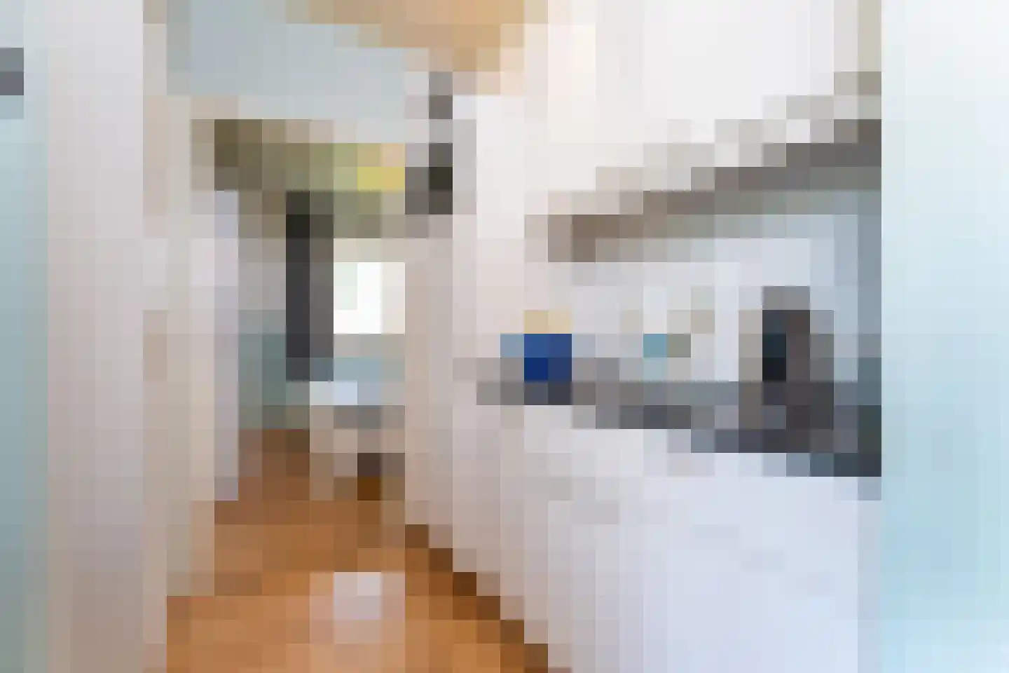 Zeekraalstraat 15 Nieuwvliet thumbnail 15