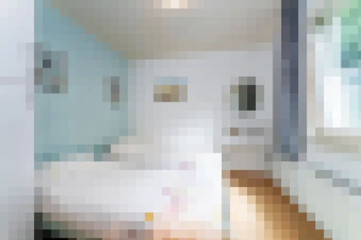 Zeekraalstraat 15 Nieuwvliet thumbnail 18