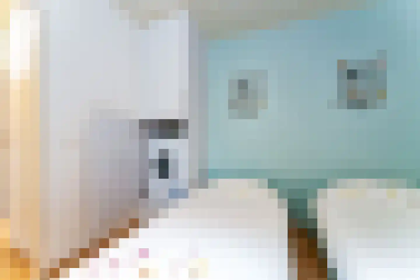 Zeekraalstraat 15 Nieuwvliet thumbnail 19