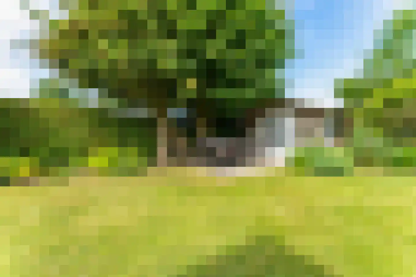 Zeekraalstraat 15 Nieuwvliet thumbnail 20