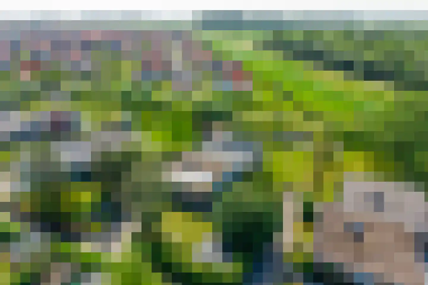 Zeekraalstraat 15 Nieuwvliet thumbnail 21