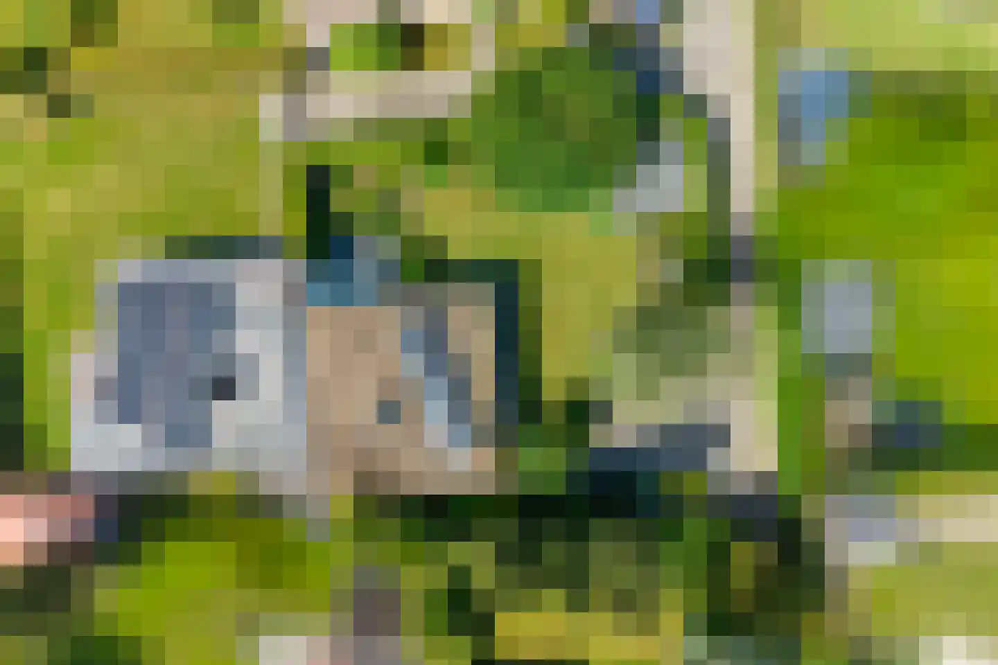 Zeekraalstraat 15 Nieuwvliet thumbnail 23