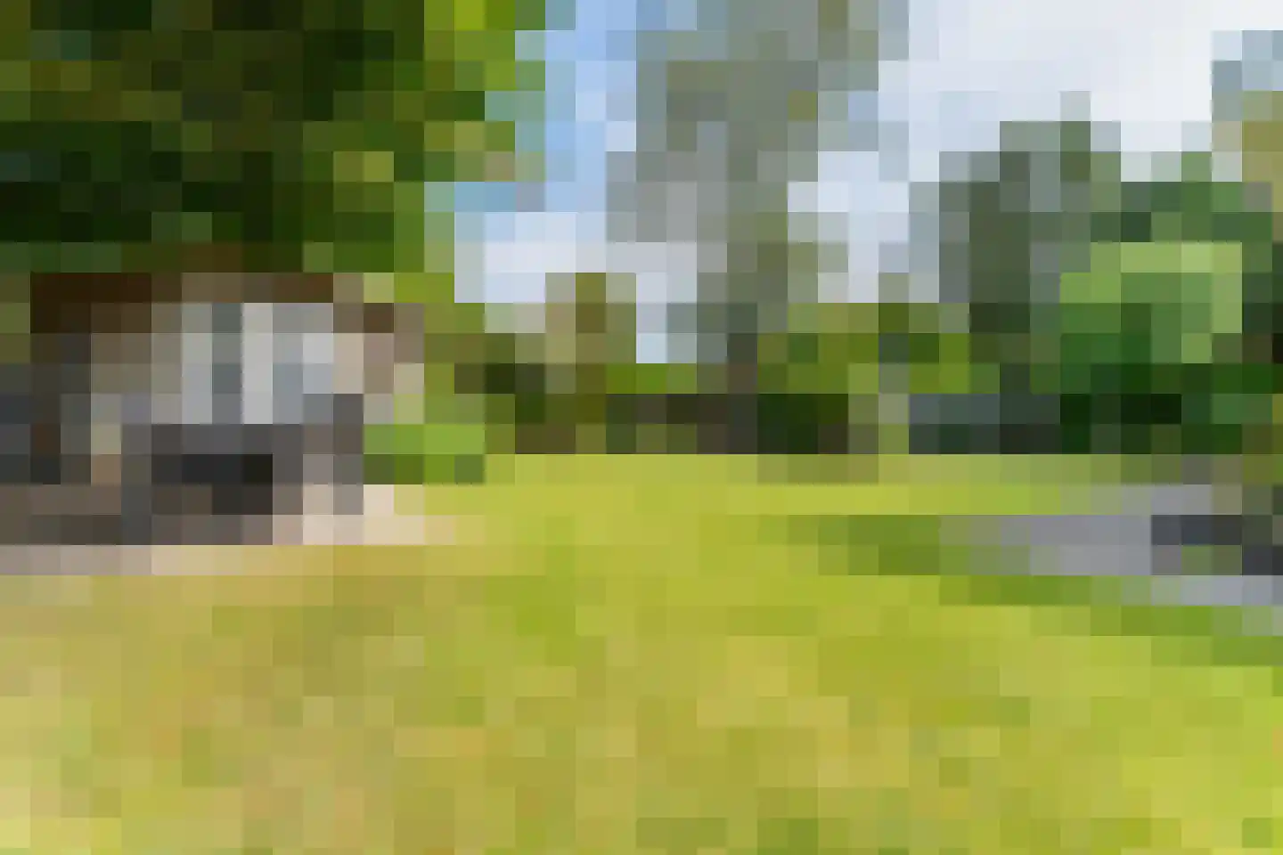 Zeekraalstraat 15 Nieuwvliet thumbnail 4