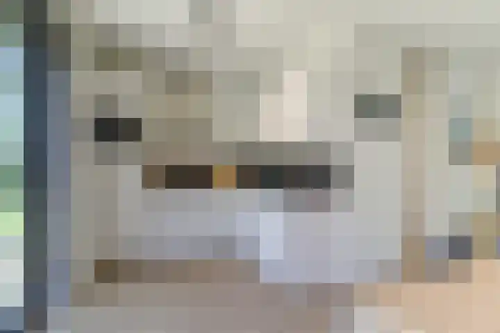 Zeekraalstraat 17 Nieuwvliet thumbnail 10