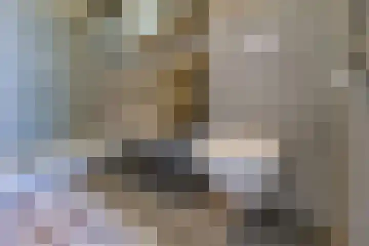 Zeekraalstraat 17 Nieuwvliet thumbnail 17