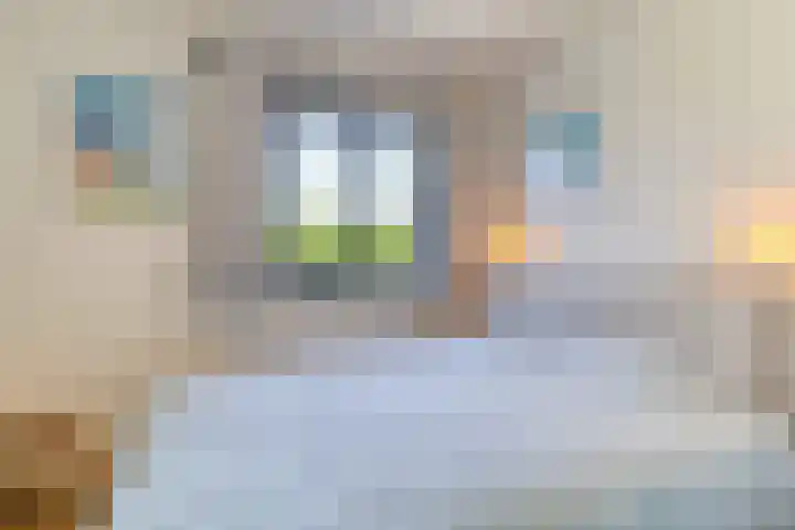 Zeekraalstraat 17 Nieuwvliet thumbnail 20