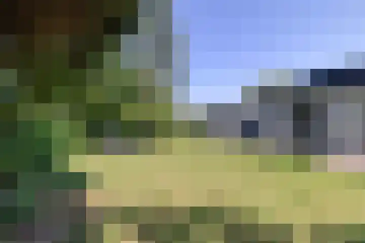 Zeekraalstraat 17 Nieuwvliet thumbnail 24