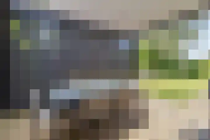 Zeekraalstraat 17 Nieuwvliet thumbnail 25