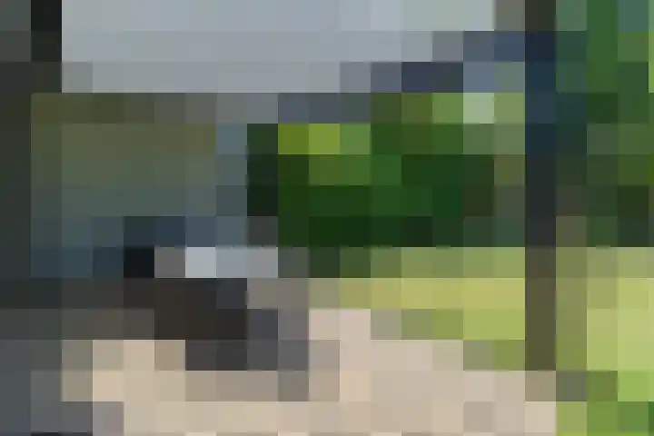 Zeekraalstraat 17 Nieuwvliet thumbnail 26